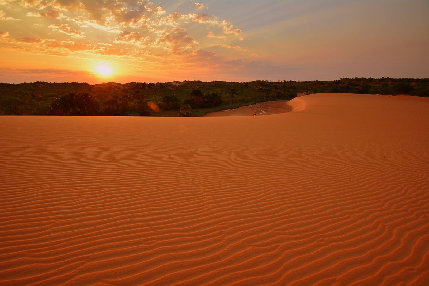 Pôr do sol sobre as dunas douradas do Jalapão, Tocantins, com cerrado ao fundo