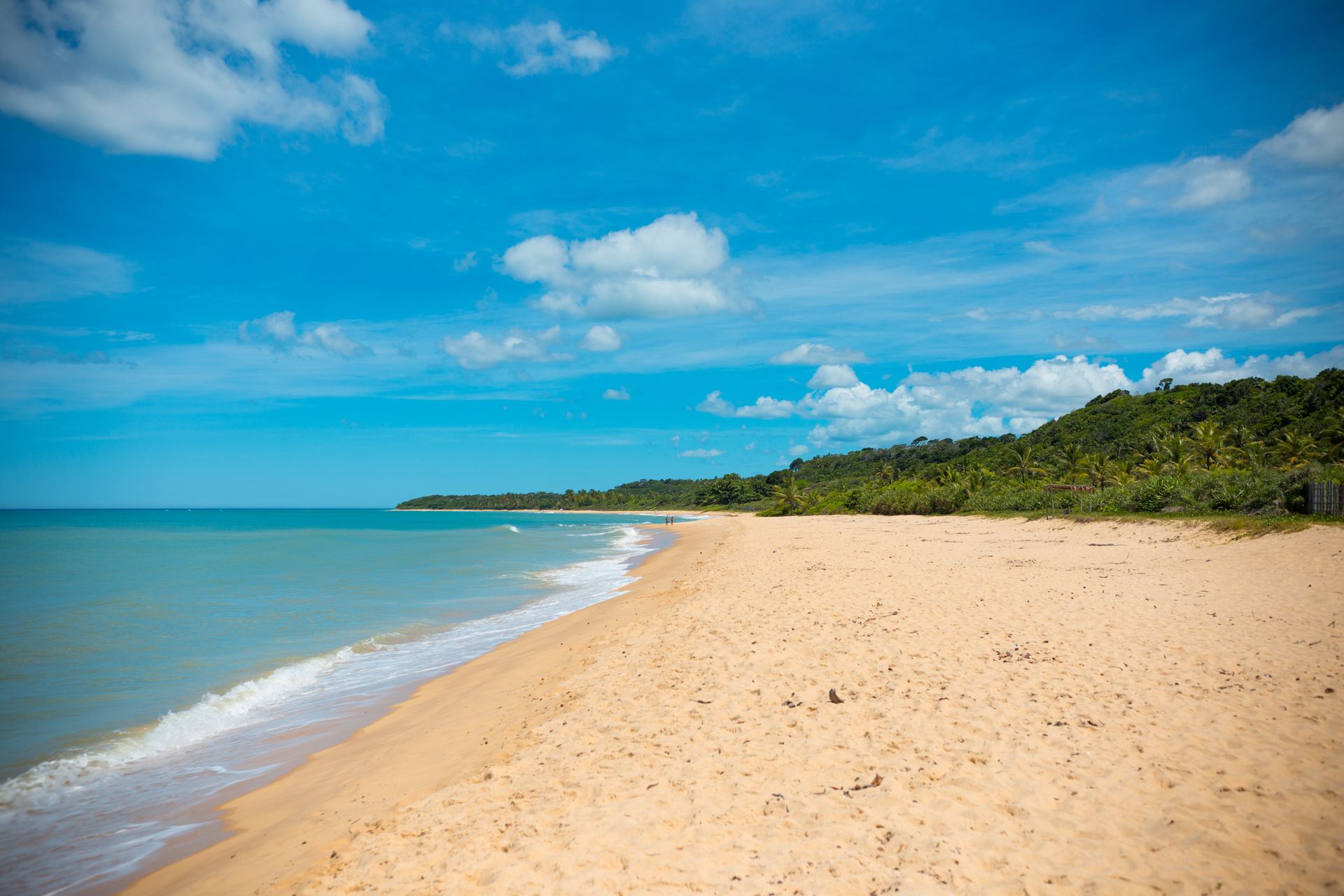 Praia Itapororoca deserta em Trancoso, Bahia — areia dourada, mata atlântica densa e mar esverdeado